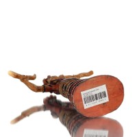 ΘΕΑ ΟΦΕΩΝ 18εκ