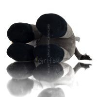 Ã…sna StÃ¥ende plysch Mjuk gosad plysch Gosedjur fÃ¶r barn 25 cm JAG Ã„LSKAR GREKLAND Mjuka och andra leksaker 7 - grifon.se 