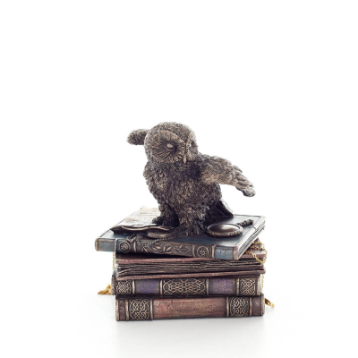 Κουκουβάγια 12εκ Κοσμηματοθήκη, Μπιζουτιέρα, θήκη σαν κουτί για φύλαξη, Ολόσωμο άγαλμα με Ηλεκτρόλυση μπρούτζου Veronese Βερονέζ