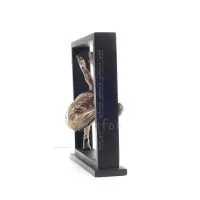 Man som tränar inom en ram 27cm Helfigur statyett med brons elektrolys av Veronese, Modernt Dekorativt Veronese 5 - grifon.se 
