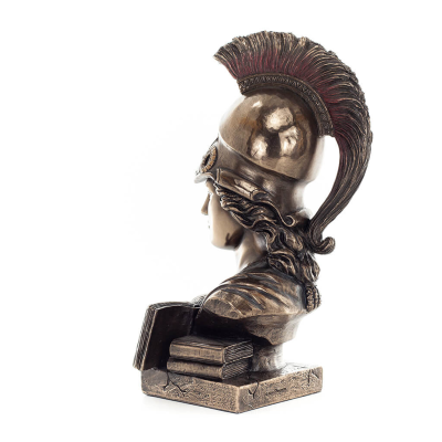 Î‘Î¸Î·Î½Î¬ Î® Î‘Î¸Î¬Î½Î± Î® Î‘Î¸Î®Î½Î·: Î— Î¸ÎµÎ¬ Ï„Î·Ï‚ ÏƒÎ¿Ï†Î¯Î±Ï‚ Î¼Îµ Ï€ÎµÏÎ¹ÎºÎµÏ†Î±Î»Î±Î¯Î±, Î²Î¹Î²Î»Î¯Î¿ & Î¼Î¹Î± ÎºÎ¿Ï…ÎºÎ¿Ï…Î²Î¬Î³Î¹Î± Ï„Î·Ï‚ 22,5 ÎµÎº Î ÏÎ¿Ï„Î¿Î¼Î®, Î¼Ï€Î¿ÏÏƒÏ„Î¿ Î¬Î³Î±Î»Î¼Î± Î’ÎµÏÎ¿Î½Î­Î¶ 3 