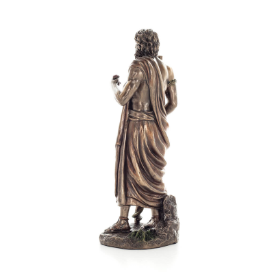 Asclepius: The God of Medicine, 29cm Veronese Bronze Electrolysis Full Body Statue, Ancient Greece Veronese 3 - grifon.se 