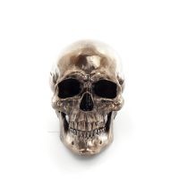 Skull 22x16cm Veronese Bronze Electrolysis Full Body Statue Modern Decorative Veronese 1 - grifon.se 
