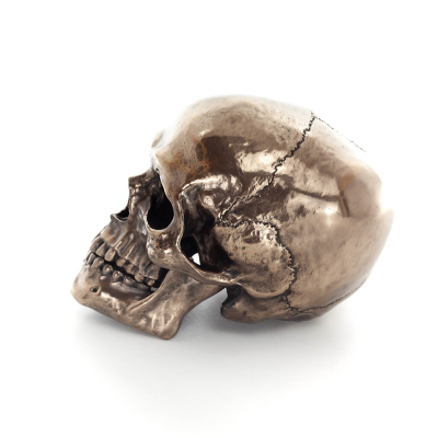 Skull 22x16cm Veronese Bronze Electrolysis Full Body Statue Modern Decorative Veronese 2 - grifon.se 