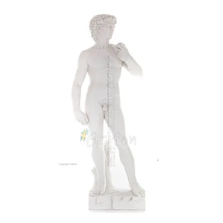 David, David: Den älskade, profeten, musiker, poet 137 cm helkroppsstaty, typ av polyesteralabastmarmor, kristen Alabaster 1 - g