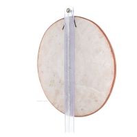 Phaistos Disc: The Unsolved Mystery Wall Hanging 28cm Decorative Handmade Finish Wall Hanging Minoan Culture Decorative Ceramics