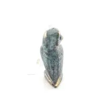 Uggla eller Glaucus: den heliga fågeln, symbol för visdom, försiktighet, L2 4x2cm Helkroppsstaty Bronsdekoration Brons 4 - grifo