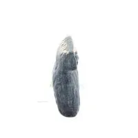 Uggla eller Glaucus: den heliga fågeln, symbol för visdom, försiktighet, uggleskulptur 3x2cm Helkroppsstaty Brons dekorativ Bron
