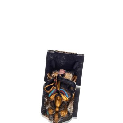 Όσιρις 8.5εκ