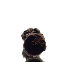 ΠΑΝΑΓΙΑ ΜΕ ΙΗΣΟΥ 8εκ