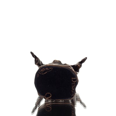 Î™Î·ÏƒÎ¿ÏÏ‚ 8.5ÎµÎº