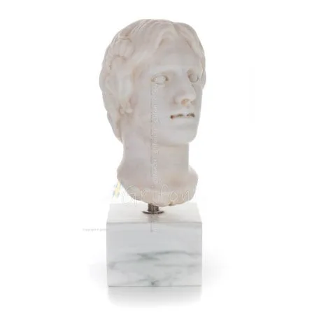 Tonåring: Ung, fri medborgare, 36 cm. Byst, byst Tillverkad av marmor, Handgjord, antikens Grekland Gyps, Porolithos, Marble 1 -